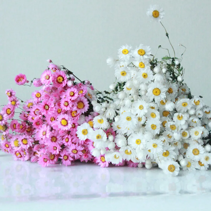 

Natural Dried Flower Rodance Bouquet Wedding Deco Dried Artificial Flowers For Home Boho Home Decoration Gypsophila Christmas