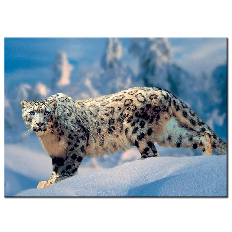 5d snow leopard Diamond embroidery full round square cross stitch diamond painting mosaic animals Picture of Rhinestone ZP-3736