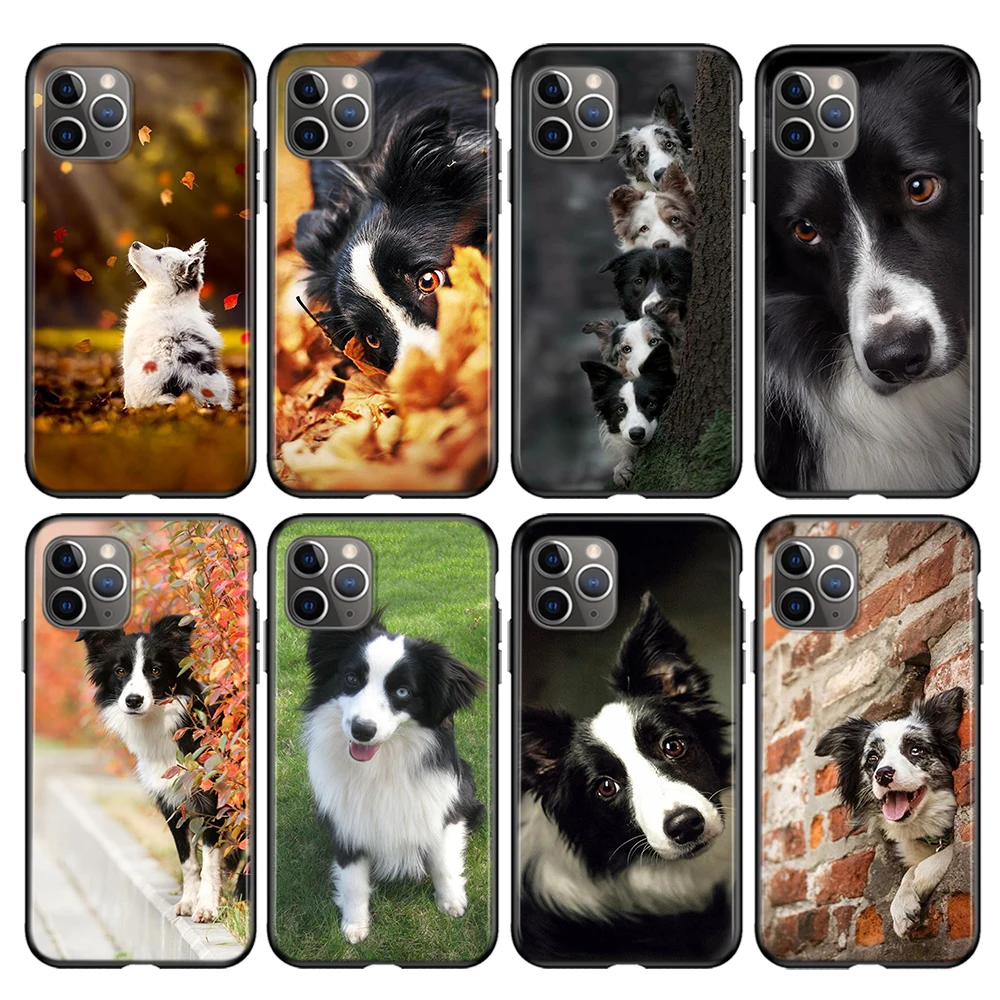 Border Collie Dog For Apple iPhone 15 14 13 12 11 Pro Max Mini XS X XR 7 8 6 Plus 5S Silicone Black Soft Phone Case