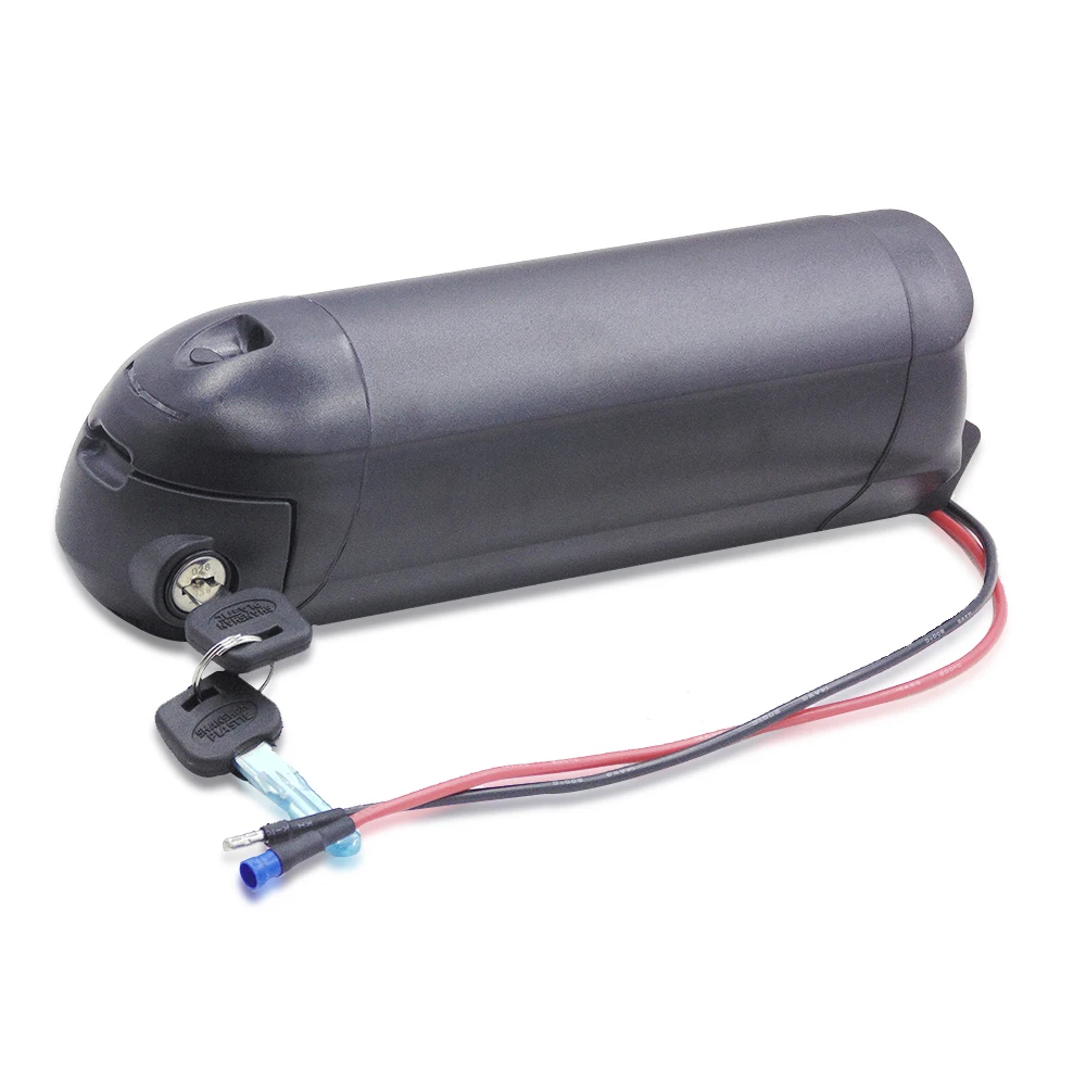 Bottle Battery Pack for Ebike, EU and US Tax Included, 36V, 7Ah, 200W, 250W, 42V 2A Charger