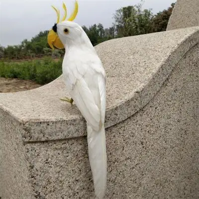 white feathers parrot turn head bird about 35cm cockatoo hard model Photography prop,home garden decoration toy gift s1580