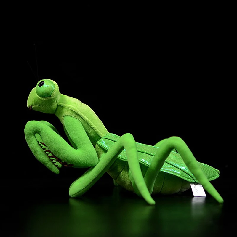 Lifelike chinês Louva-a-deus brinquedos de pelúcia para crianças, vida real, inseto Mantis, bichos de pelúcia, brinquedos educativos macios