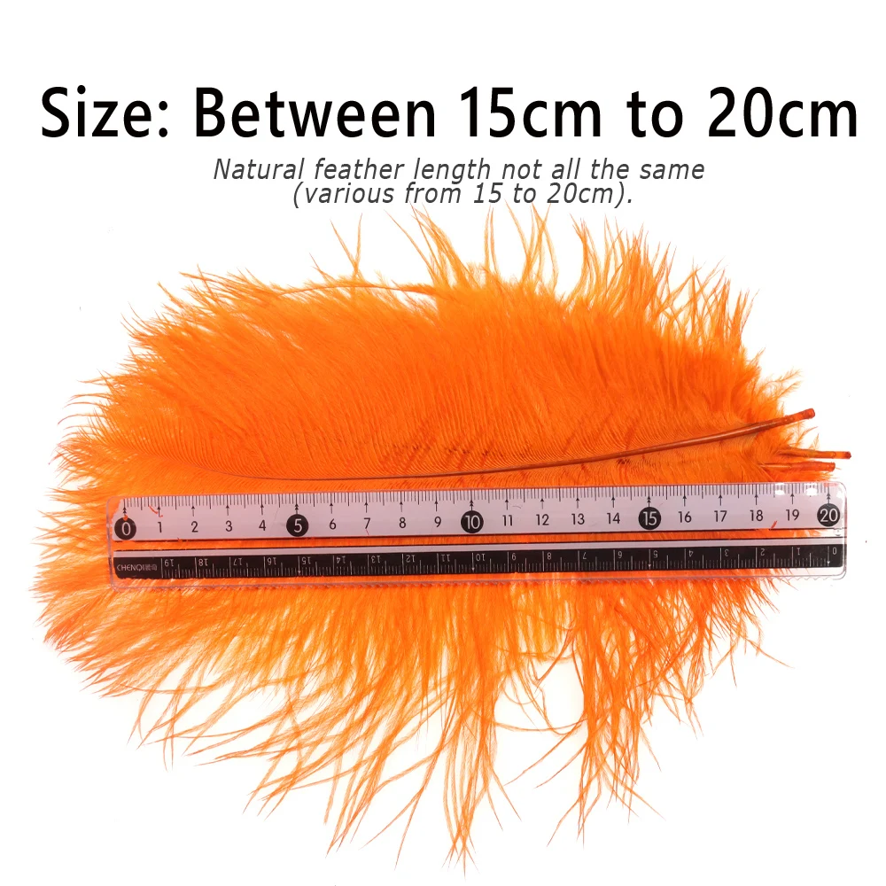 Bimoo 10PCS 15cm~20cm Assorted Ostrich Feather for Fly Tying Herl Material Streamer Nymph Steelhead Indicater Multiple Color