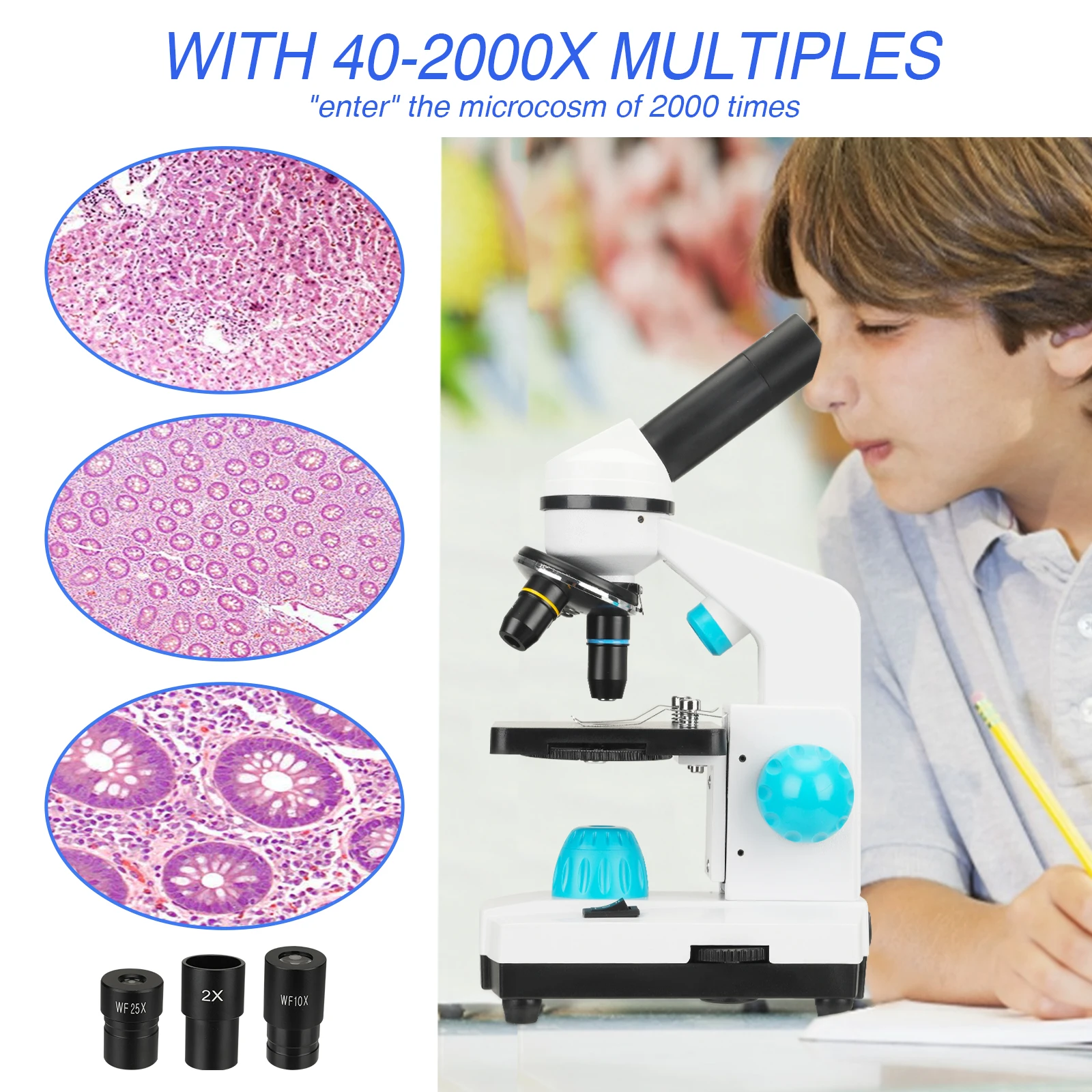 100-2000X Magnification Student Scientific Experiment Biological Microscope Children\'s Science Experiment Biological Microscope