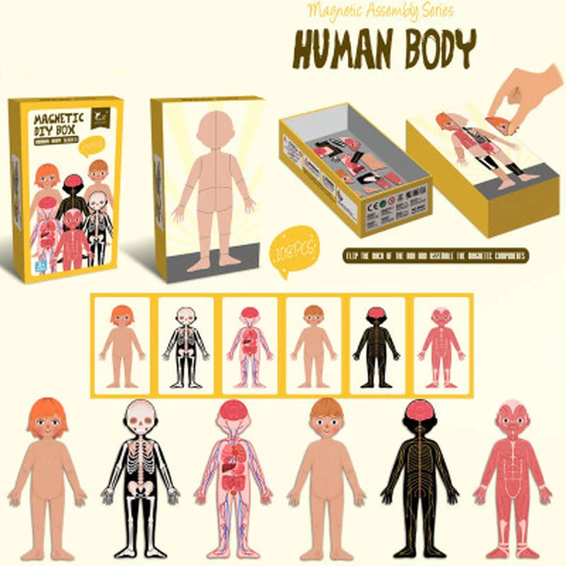 

Magnetic human body Puzzles Puzzles for DIY Puzzle Each Piece is Changeable Puzzles Christmas Gifts for Kids Jigsaw Boxed