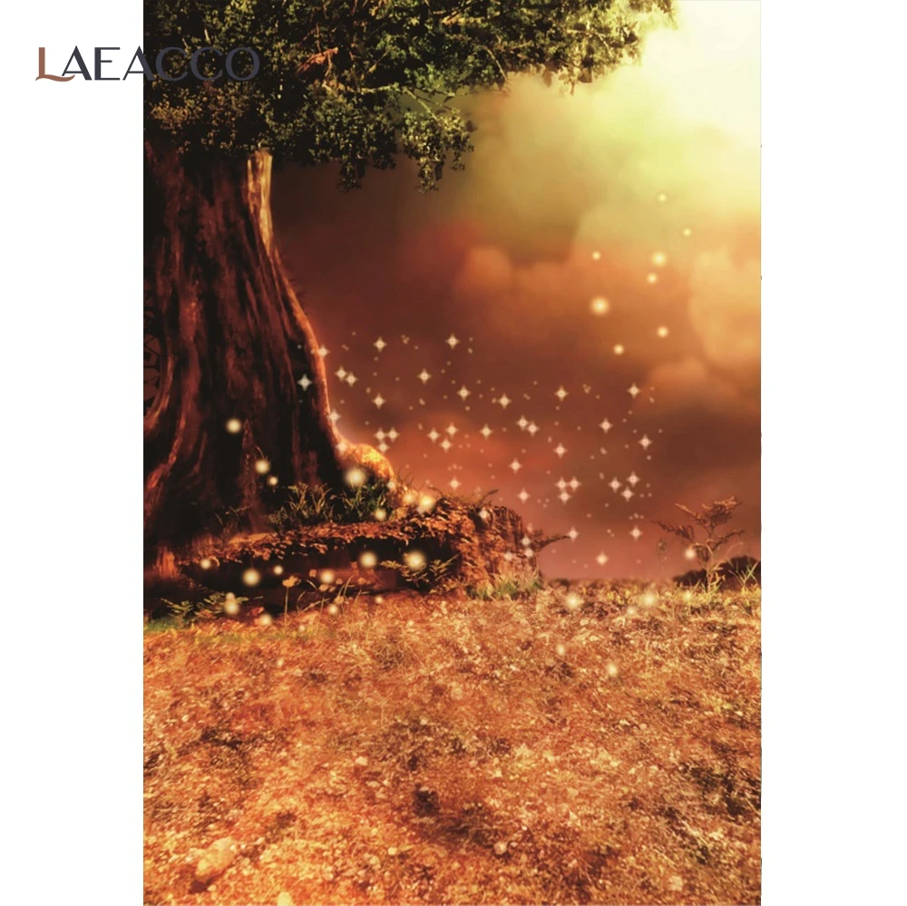 Laeacco Viola Misty Farfalla Scena Ritratto Personalizzato Baby Shower Fotografia Sfondi Foto Contesti Per Photo Studio Decor