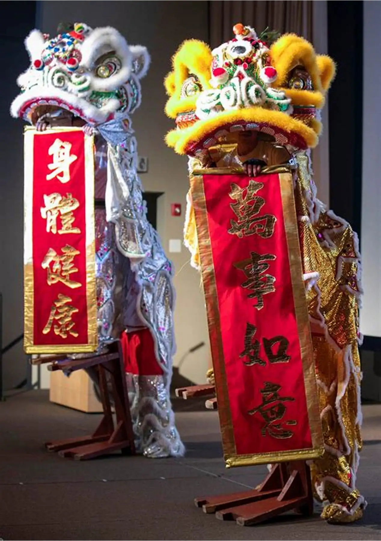 Kid Flag Chinese Lion Dance Tuqing Flag 120*35cm Opening Ceremony Decorations Xmas Flags Birthday New Year Festival Carnival