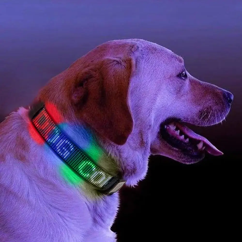 LED Glowing Dog Collar USB Rechargeable Waterproof Near Me Name Tag Light Up Nylon Collar Scrolling Message Sign Night Safety