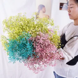 200g Dekoration Gypsophila Natural Dried Preserved Bouquet BabysBreath Flowers Gedroogde Wedding Decoration Paniculata Pampasowa