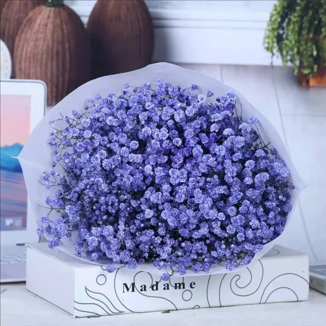 

Natural Dried Flowers Gypsophila Bouquets DIY Easter Wreath Photography Prop Home Table Decoration Gift Wedding Flower Wholesale