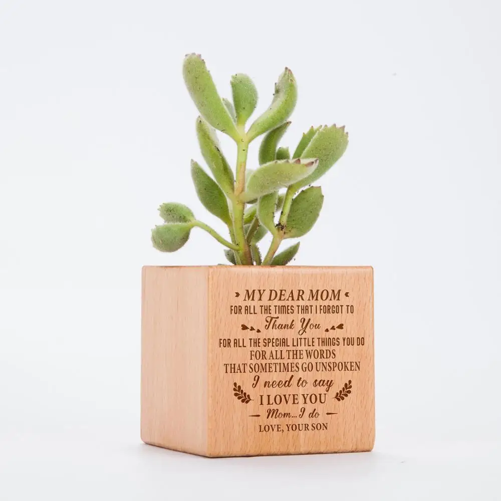 

My Mom, I Love You, From Son Engraved Plant Pot