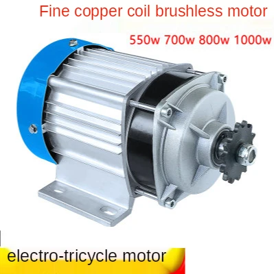 48V 60V 800W 1000W elektryczny trójakumulatorowy bezszczotkowy silnik prądu stałego z opóźnieniem samochodu w przeciwlegkim łańcuchu