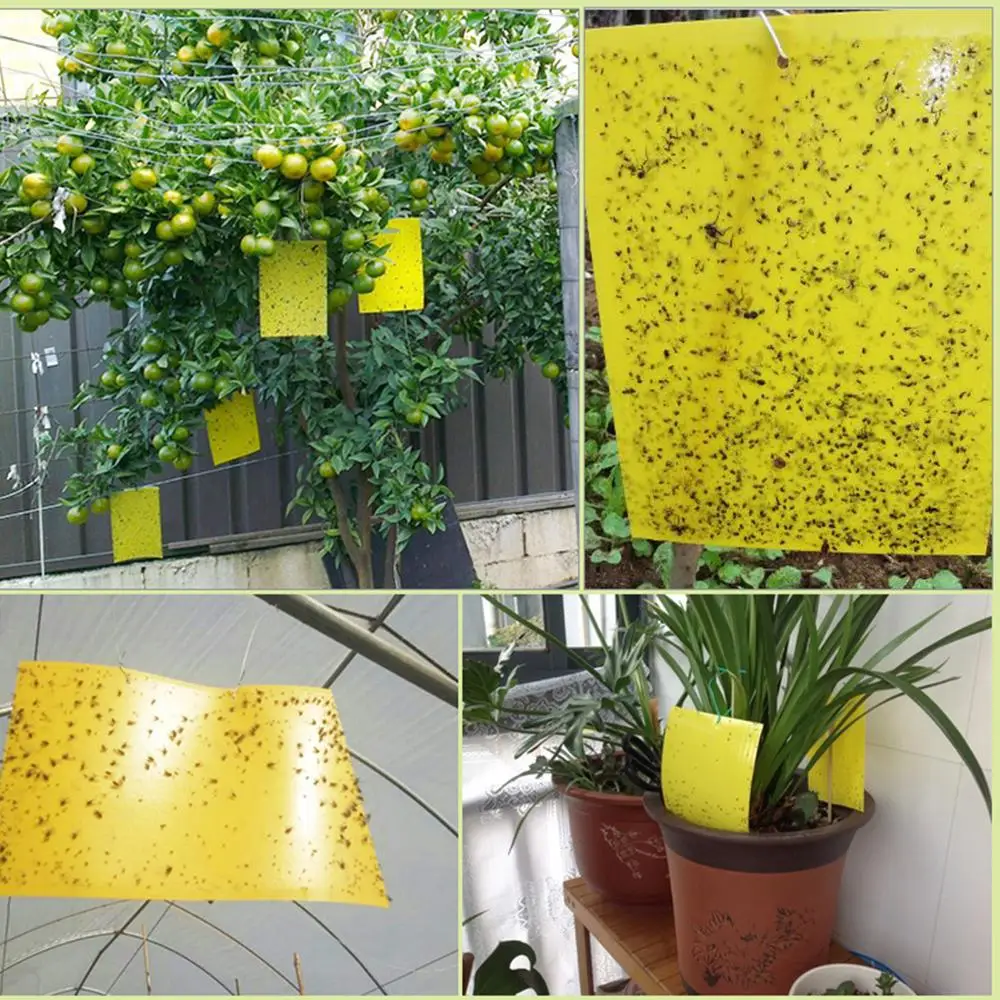 Agricultural Sticker Sticky Glue Fruit Fly Bug Killer Insects Blue Yellow Hang Catcher Trap Board Pest Kitchen Farm Plant Garden