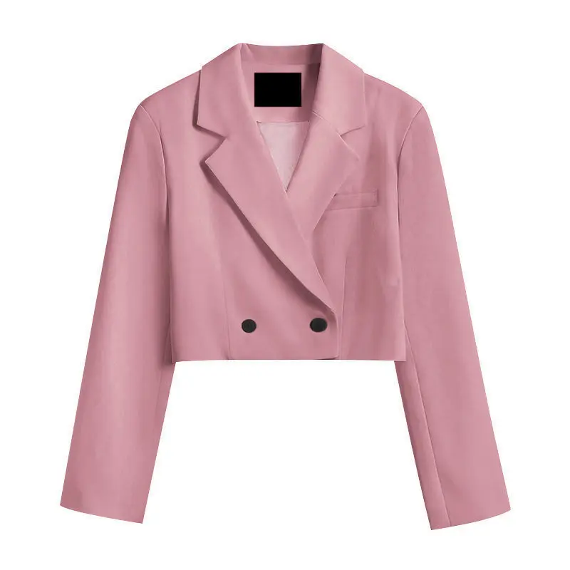 Blazer court classique à manches longues pour femmes, vêtements d'extérieur basiques, mode populaire, dame de bureau élégante, rue haute, 13 couleurs, simple, printemps