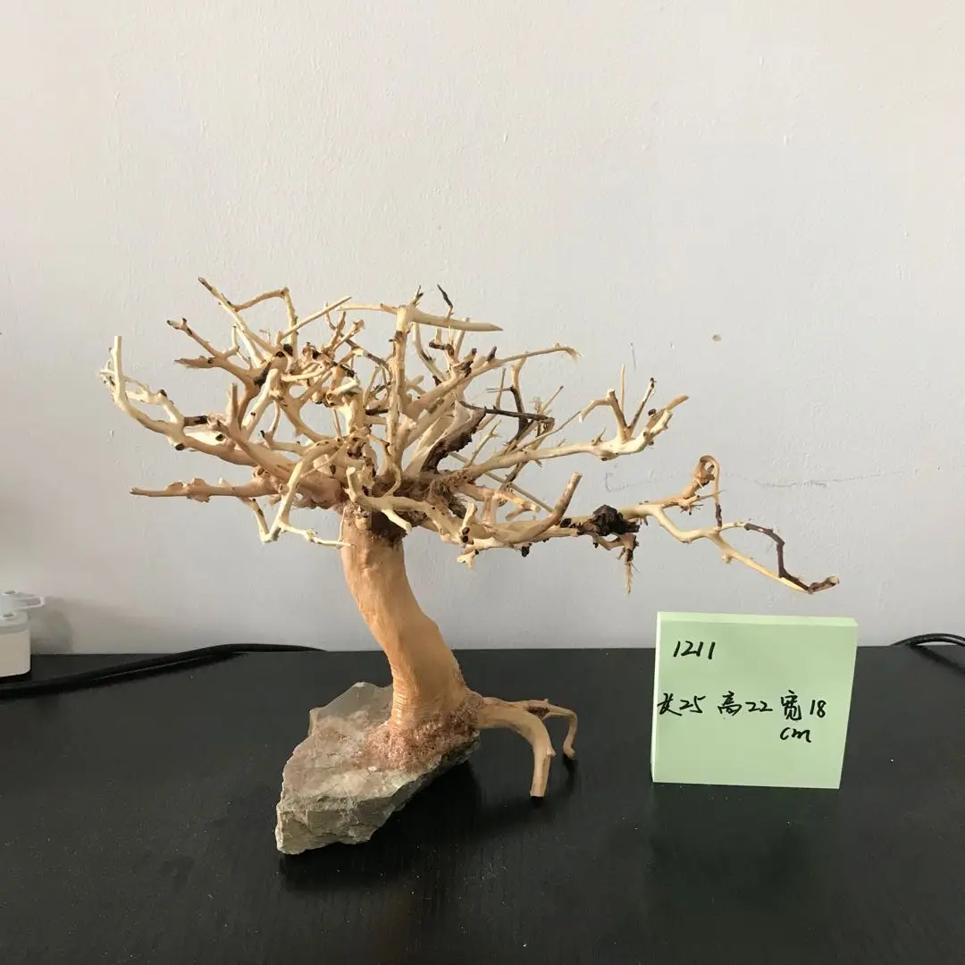 100% Handcraft Aquarium Bonsai Driftwood Moss Tree Bonsai Driftwood Aquarium мопани Tree Wood Ornament Natural Branches