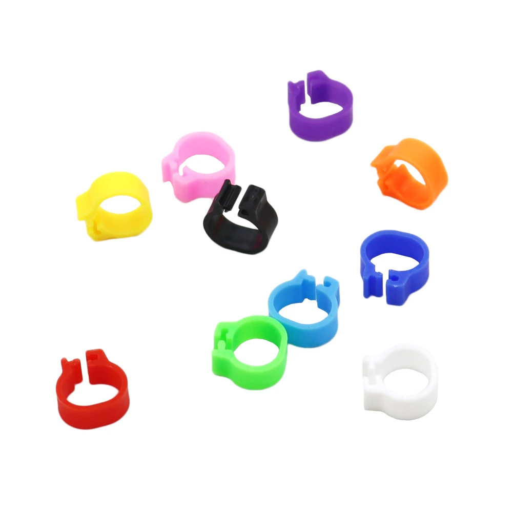 Bird Plastic Clip Rings Pigeon Colored Foot Ring 10 Colors Pigeon Supplies Inner Diameter 10MM Pigeon Dove Quail Foot Ring