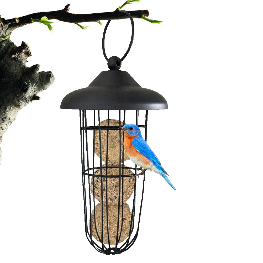 

Bird Feeder Outdoor Metal Feeding Tool Bird Feeder Hanging Feeding Dispenser Holder Food Container