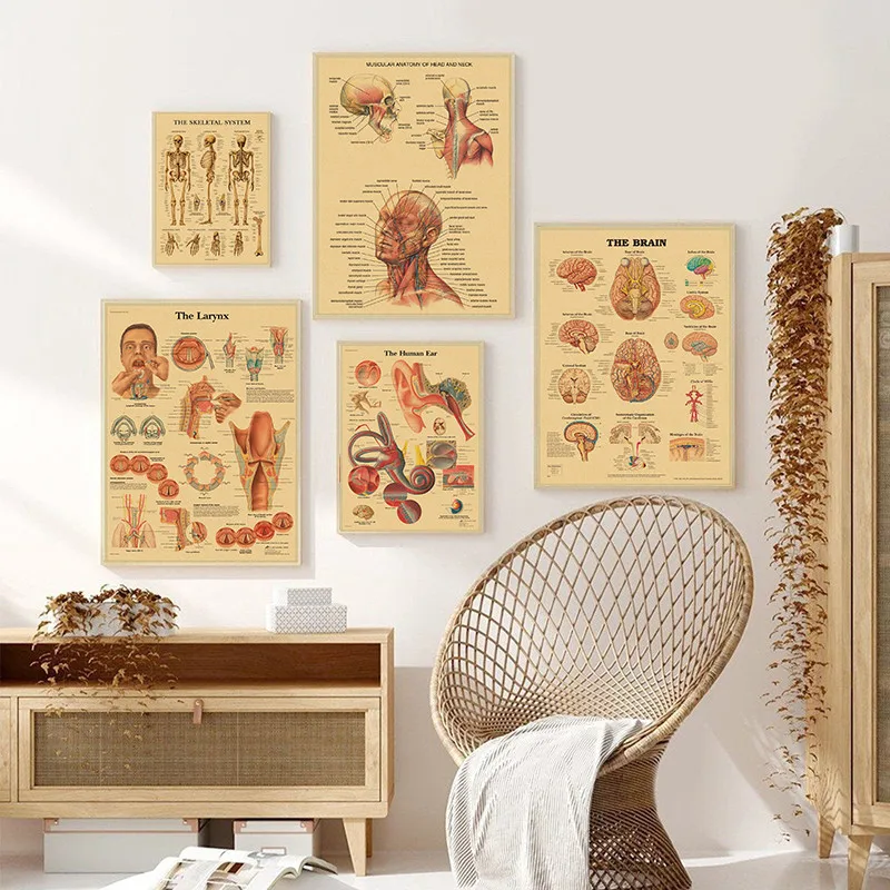 Human Anatomy Muscle System Kraft Paper Poster Anatomy Diagram Human Medical Wall Medical Education Office Decorative Mural