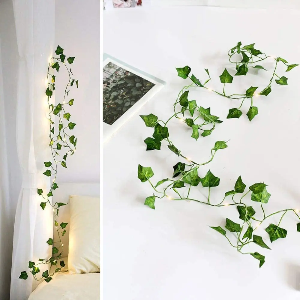 hedera helix wonder Tipps zur Pflege deiner Pflanze : Hedera Helix Wonder  PflanzenFuerAlle