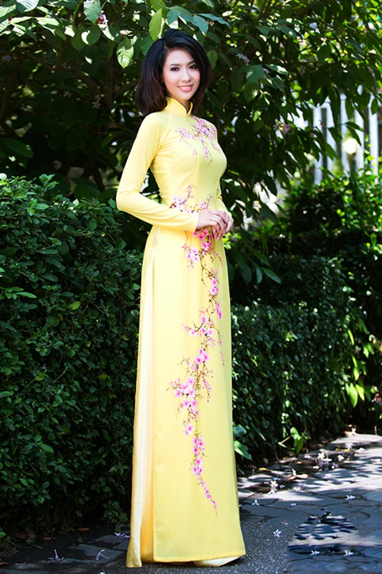 aodai vietnam clothing cheongsam aodai vietnam dress vietnamese two-piece cheongsam cultivate morality hand-painted red berries