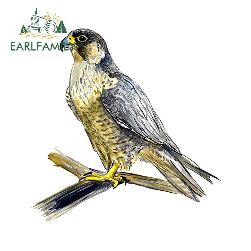 EARLFAMILY 13cm x 12.8cm Falcon Bird Sticker Decal Home Office Dorm Kitchen Wall Tablet CPU Cell Quality Car Stickers Graphic