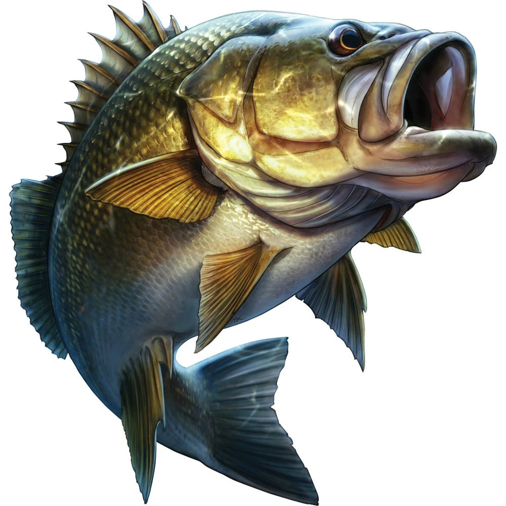 Fishing Cartoon Large Mouth Bass Fish Styling Car Sticker Boat KayakTruck Laptop Exterior Accessories Vinyl Decals,20cm*20cm