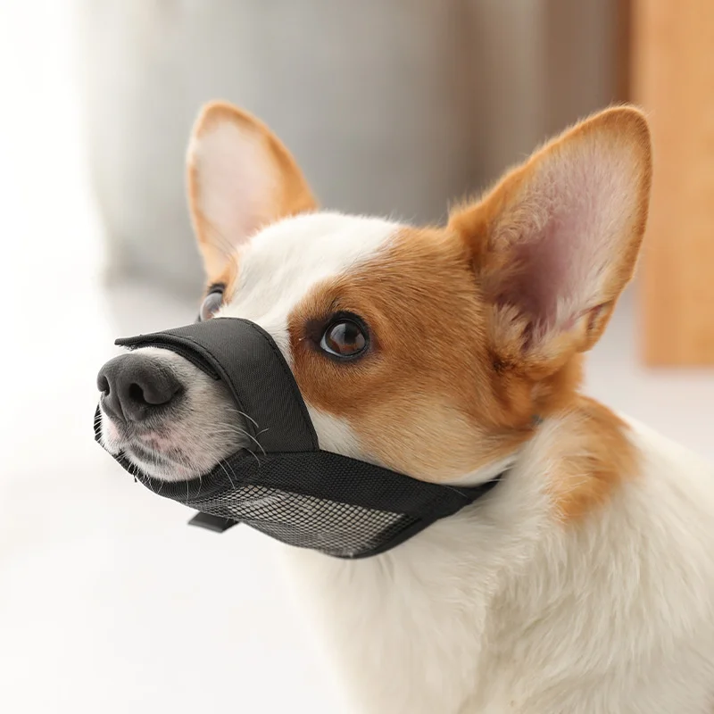 

Dog mouth cover anti bite, anti barking, anti disorderly eating mask pet Teddy small dog mouth cover adjustable anti picking dog