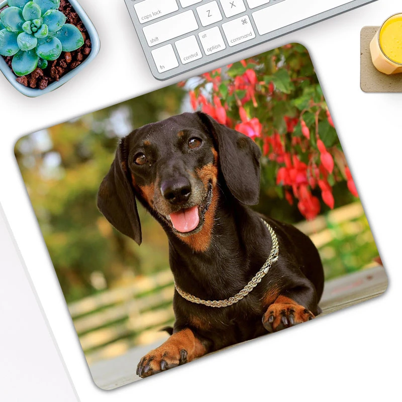 Animal Dog Dachshund Dackel Teckel Pc Tablet Gamer Computer Laptop Mause Mouse Pad Mousepad Mice Mat Decorate Desk Keyboard