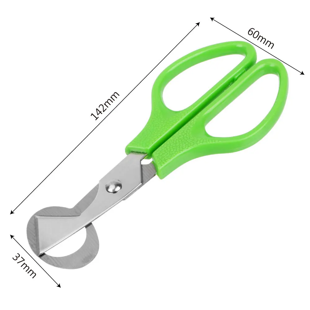 Quail Egg Shell Scissors Rust Resistant Durable Cigar Cutters Multifunction Kitchen Tools Stainless Steel Blade