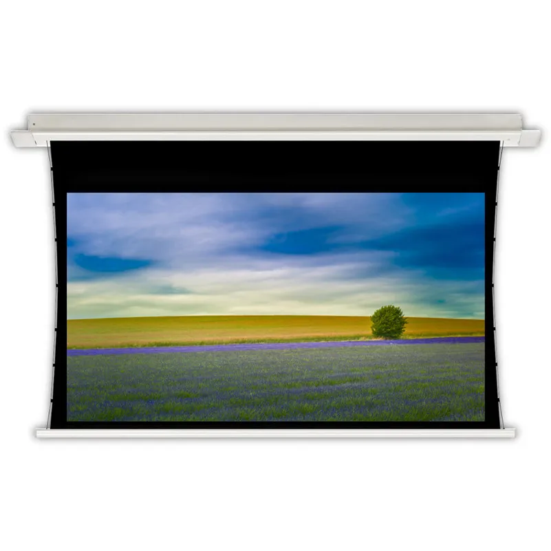 

Home Cinema Woven Acoustically Transparent Fabric Sound Max 4K Concealed Hidden Electric In-Ceiling Projector Screens, VSJ-8K