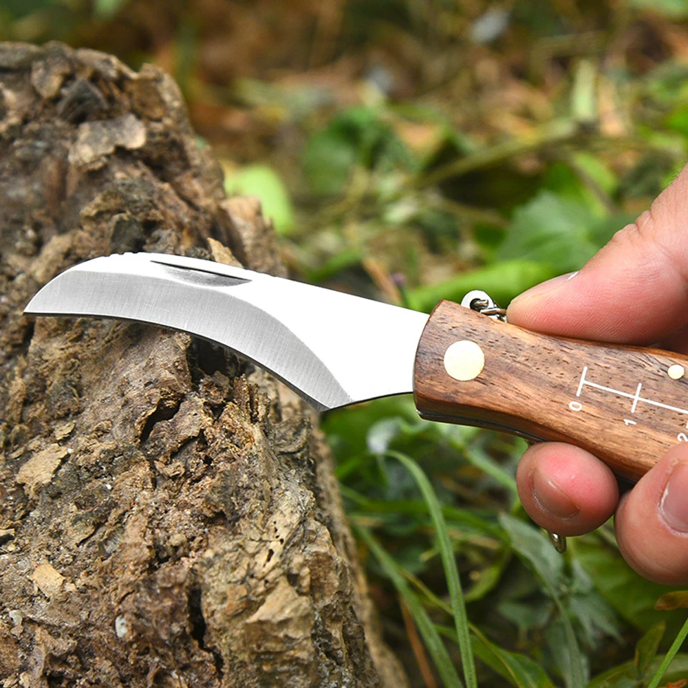 Imagem -03 - Mushroom Folding Knife With Rosewood Handle Pocket Knife Box Cutter Sobrevivência ao ar Livre Camping Keychain Utility Ferramentas Edc 2023