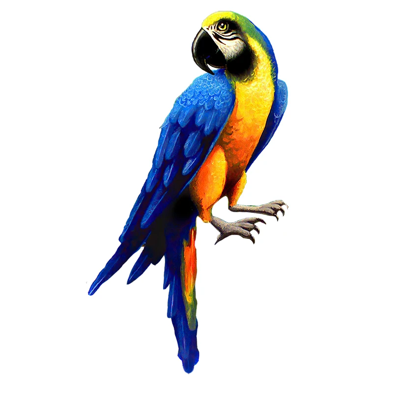 QD104 Beautiful Parrot Wall Sticker Kids Room Decoration Cute Bird Decal Car Body Sticker