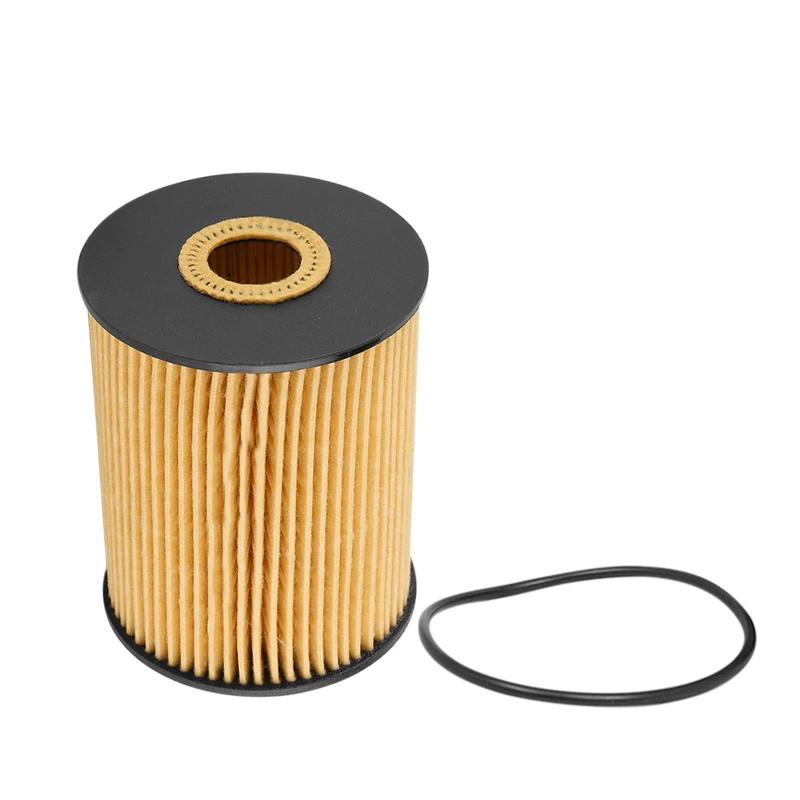 Oil Filter Fit For Audi A8 Q7 Cayenne VW Passat Touareg 021115562A 021115561B E1001HD28