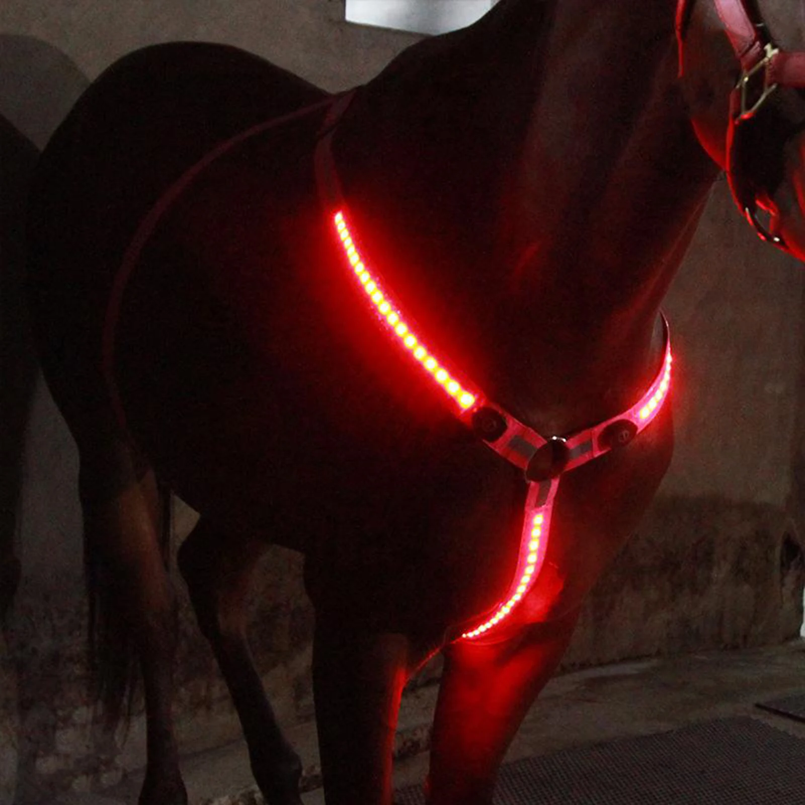 Arnés de caballo LED para el pecho, correa ajustable para el pecho, brida Halter reflectante de alta visibilidad, banda de seguridad