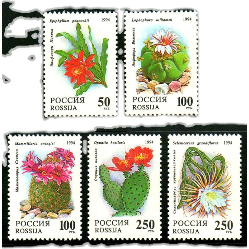 5Pcs/Set New Russia Post Stamp 1994 Cactus Flowers Stamps MNH