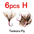 6PCS H