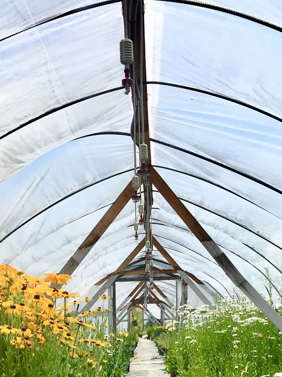SucceBuy Landbouwkasfilm Doorzichtige plastic boerderijgewassen Groentehoes UV-bestendig polyethyleen die planten Bloemen bedekt - afbeelding 2