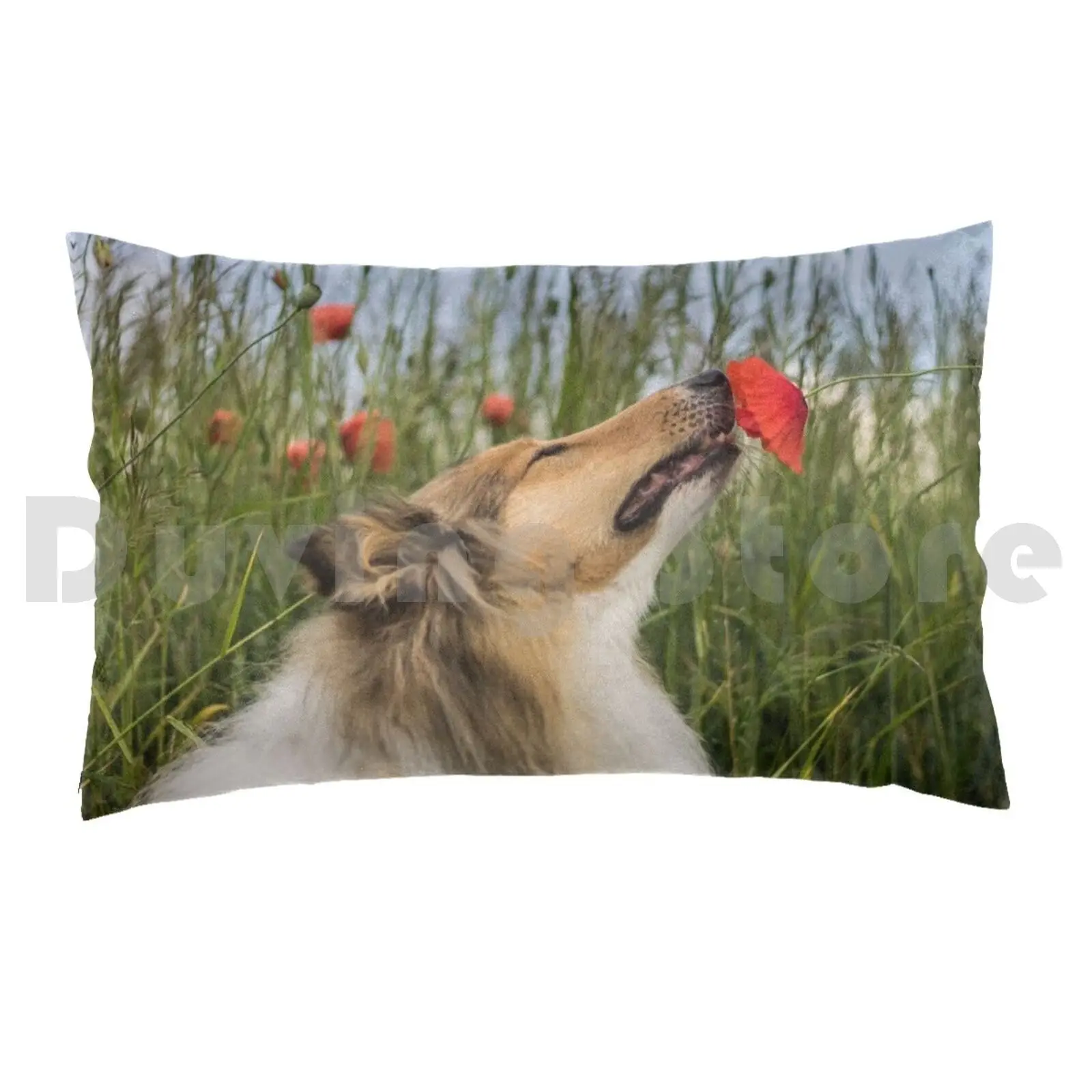 Cute Rough Collie Sniffing To A Poppy Pillow Case Printed 50x75 Collie Dog Rough Collie Poppy Cute Adorable