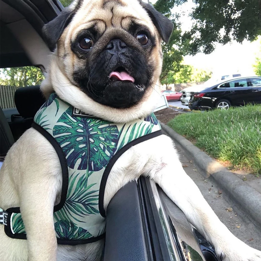 Summer Dog Harness No Pull Dog Harnesses Vest for Medium Small Dogs Puppy Pets Harness Leash Set Breathable French Bulldog Pug