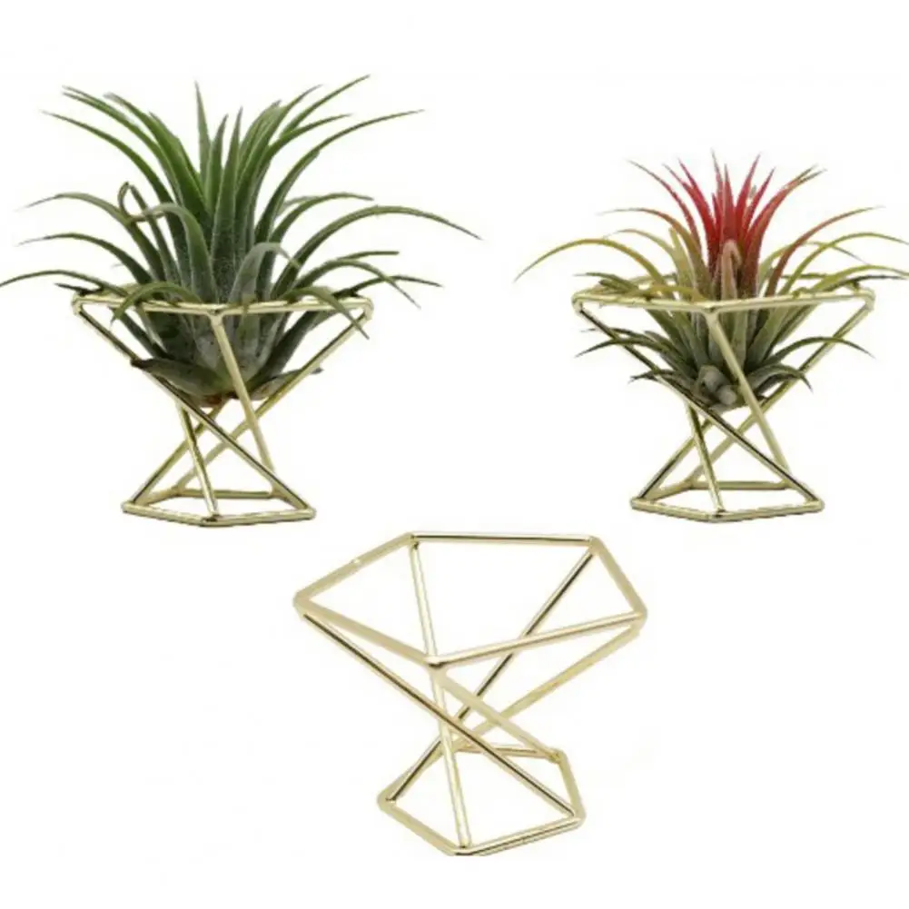 3Pcs MetalFern Plant Stand Display Stand Elegant Anti-deformed Airplant Container Pot Beautify Airplant Container Pots