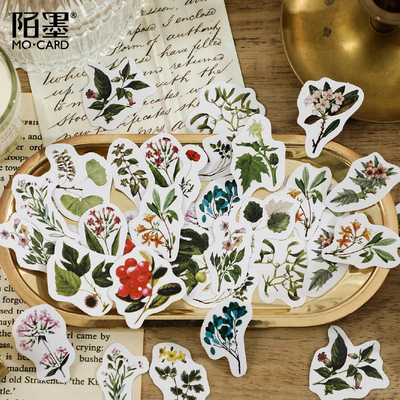 46 قطعة/الحزمة معهد البحوث النباتية ملصقات اشي الزخرفية سكرابوكينغ عصا التسمية مذكرات القرطاسية ألبوم ملصقات #3