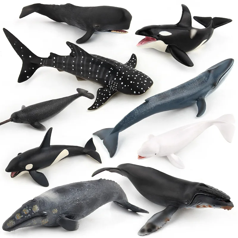 Figurines d'animaux de mer simulés, 20-28CM, baleine bleue, requin, beluga, jeu d'action, modèle cadeau pour enfants