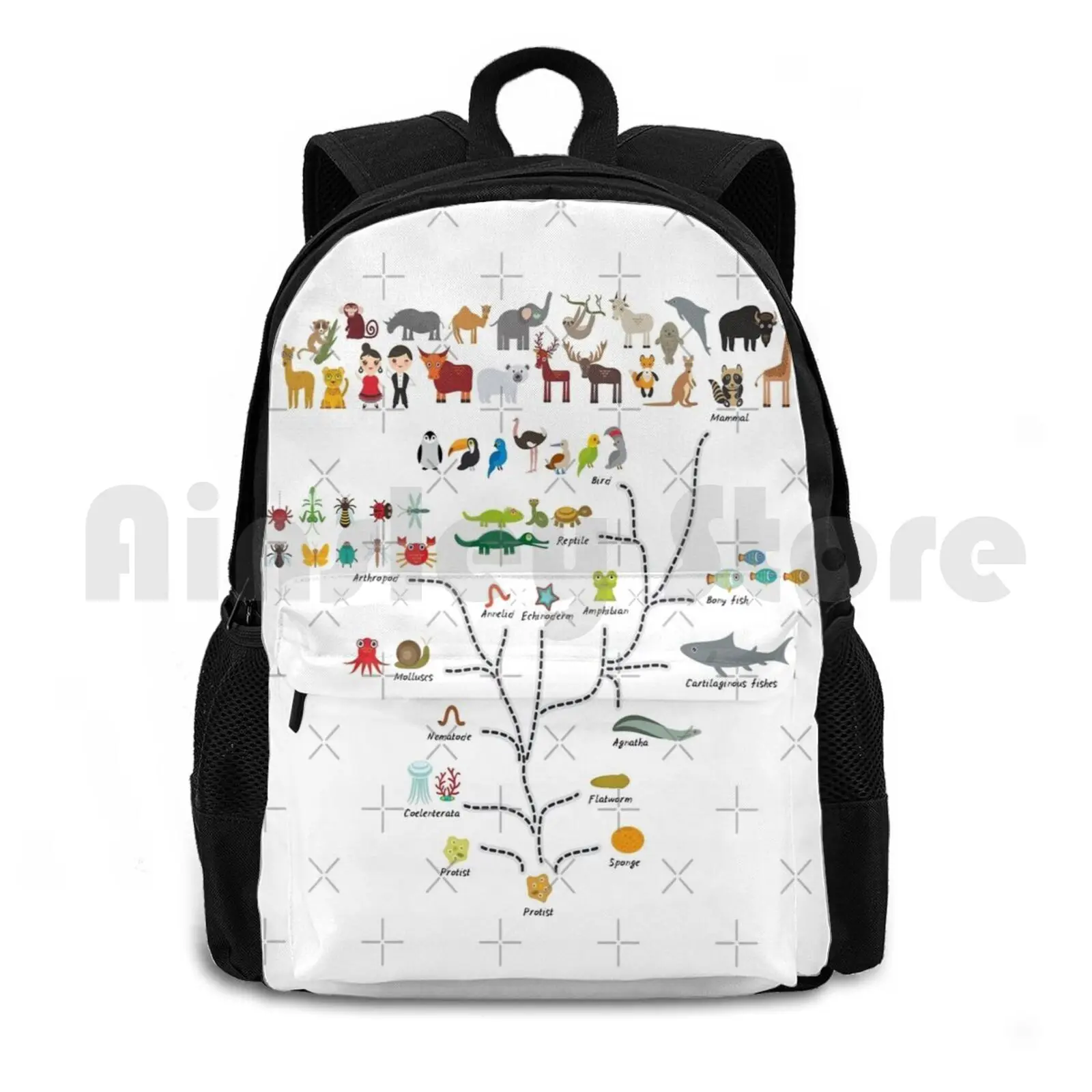 Evolution Scale From Unicellular Organism To Mammals. Evolution In Biology , Scheme Outdoor Hiking Backpack Riding Climbing