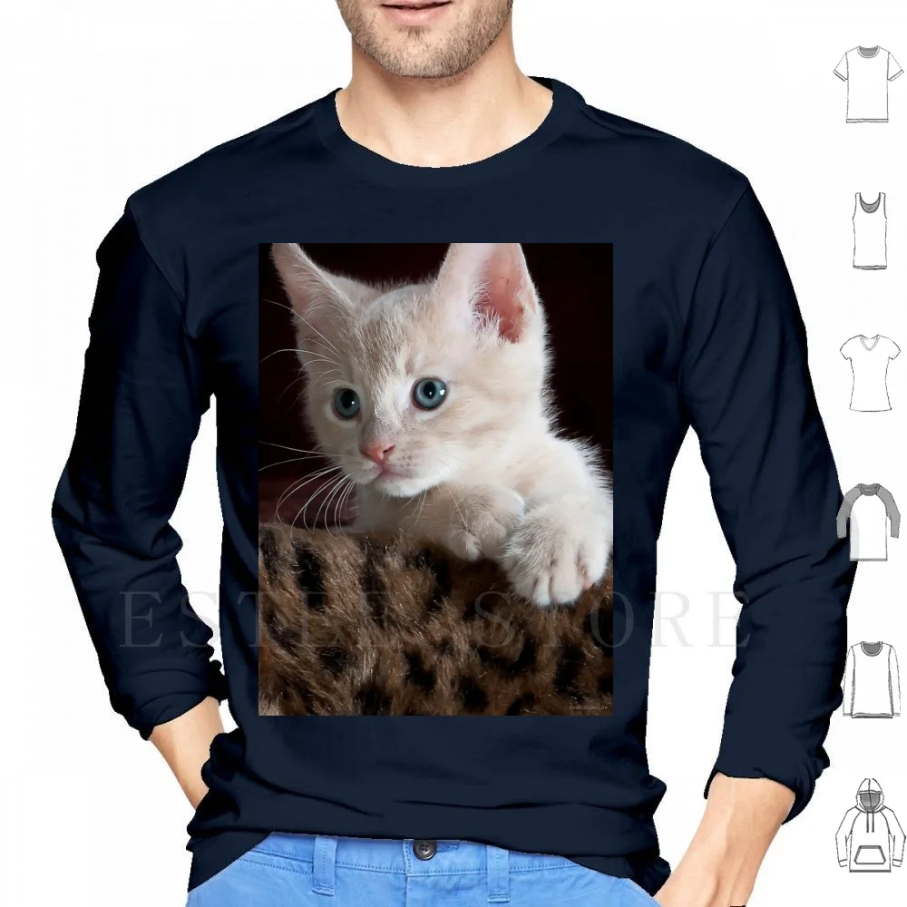 Kitty 5 Hoodies Long Sleeve Kitty Cute Adorable Furry Cuddly Snuggle Purr Tail Paw Play Tummy Scratch Scratching