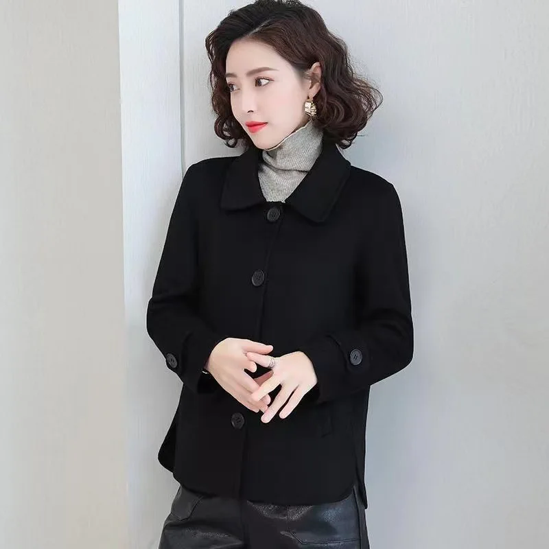 Cloth Coat Female Temperament Is Little Short of New Fund of 2021 Autumn Winters Is Han Edition Imitation Wool Women\'s Clothes