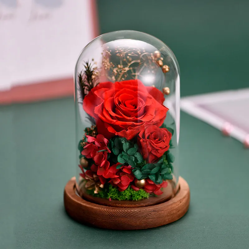 15*17cm Middle Size Glass Dome Vase Home Deocration Flat Antique Cork Base Transparent Cover Wedding Live Prop Birthday Gift