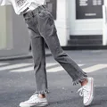 heiseliusu