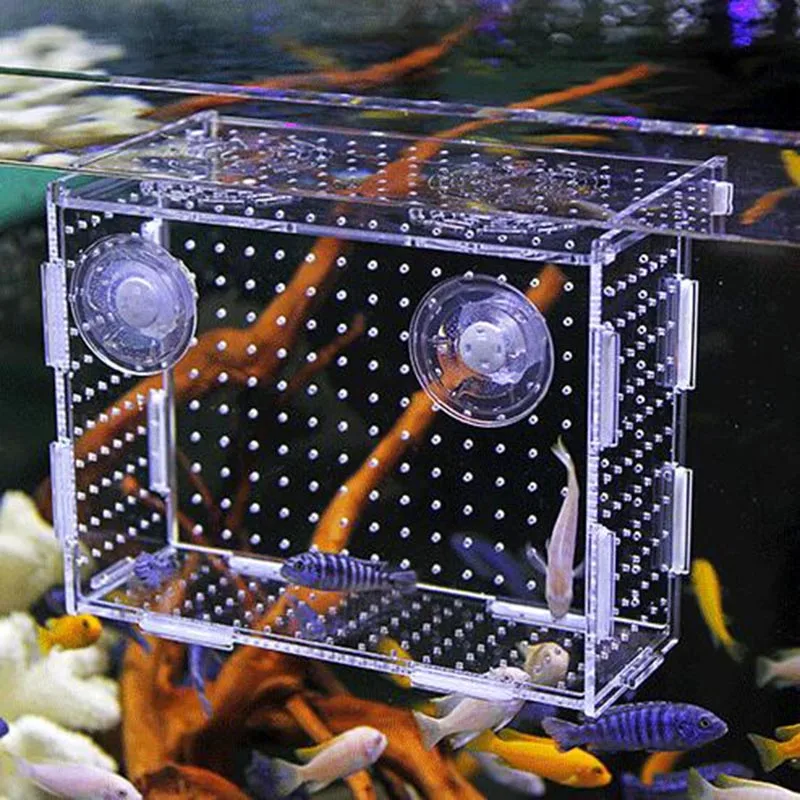 Hook Fish Tank Aquarium Small Fish Isolation Net Tropical Fish Breeding Box Production Box Acrylic Sucker Case