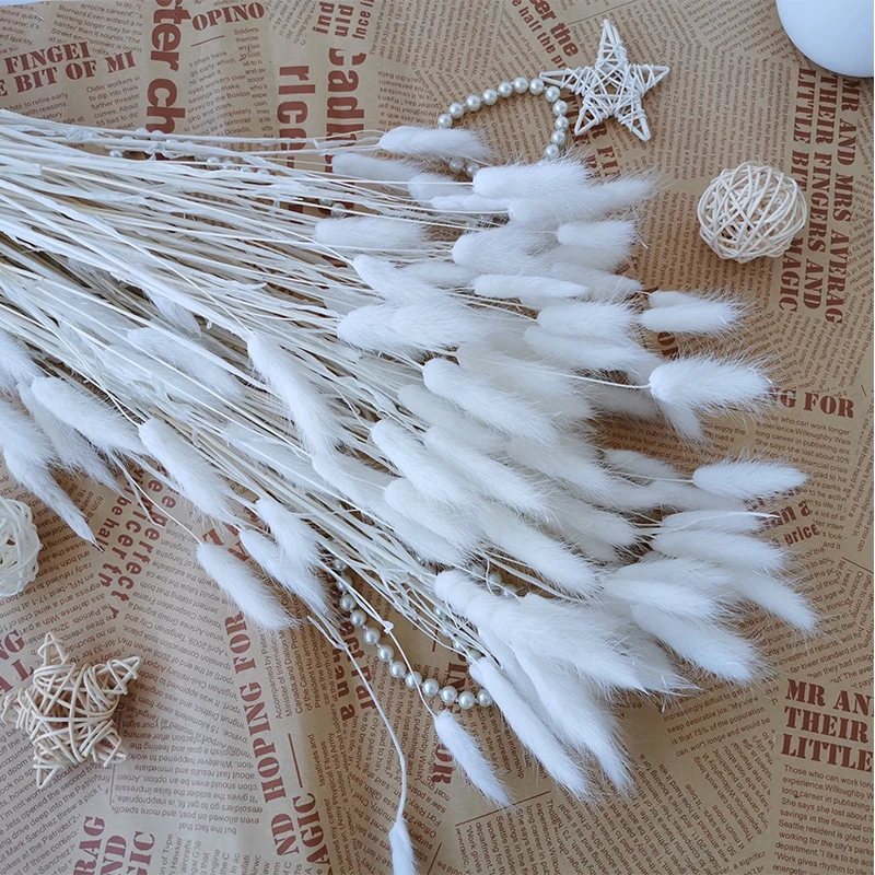 Natural White Black Grey Bunnny Tail Grass Home Living Room Party Decoration Dried Flowers Wedding Deco Marriage Accessories