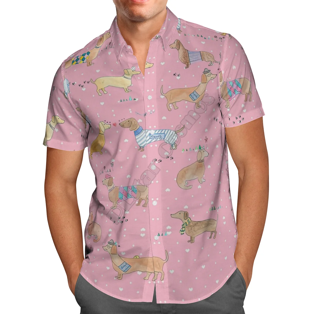 Hawaii Shirt Hawaiian beach Summer Funny Schnauzer 3D Printed Men's Shirt Harajuku Tee hip hop Casual shirts 08